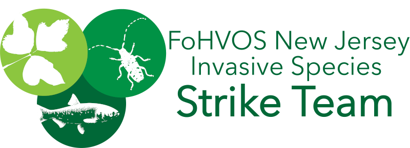 FoHVOS NJ Invasive Species Strike Team